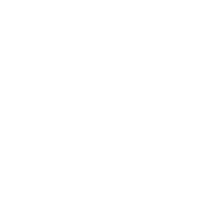 Elementor Pro