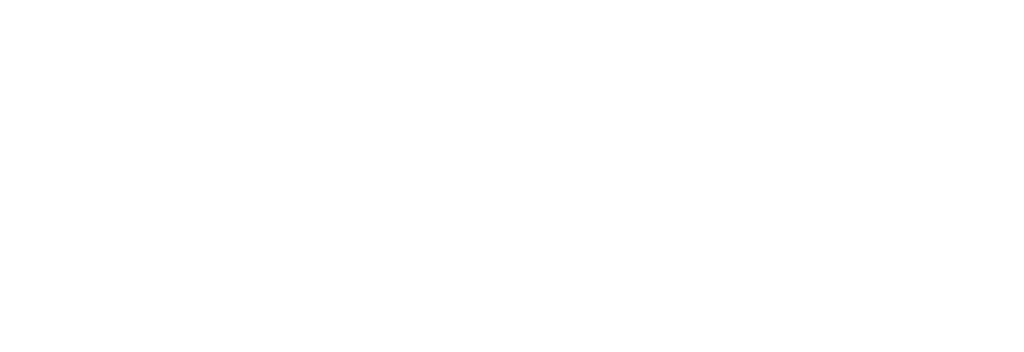 Projekt_Raidboxes